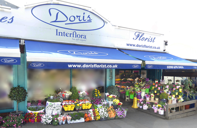 doris crystal palace