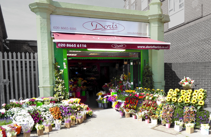 doris thornton heath