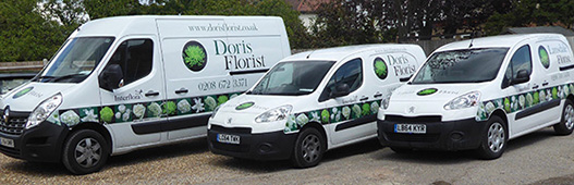 doris vans