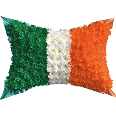 Pillow Flag of Ireland