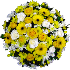 Posy in Yellow and White