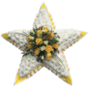 Star Tribute in Yellow and White